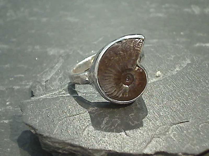 Size 10 Fossil Ammonite, Sterling Silver Ring