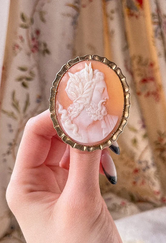 Rare Brooch Cameo of Zeus in 15ct Circa 1860